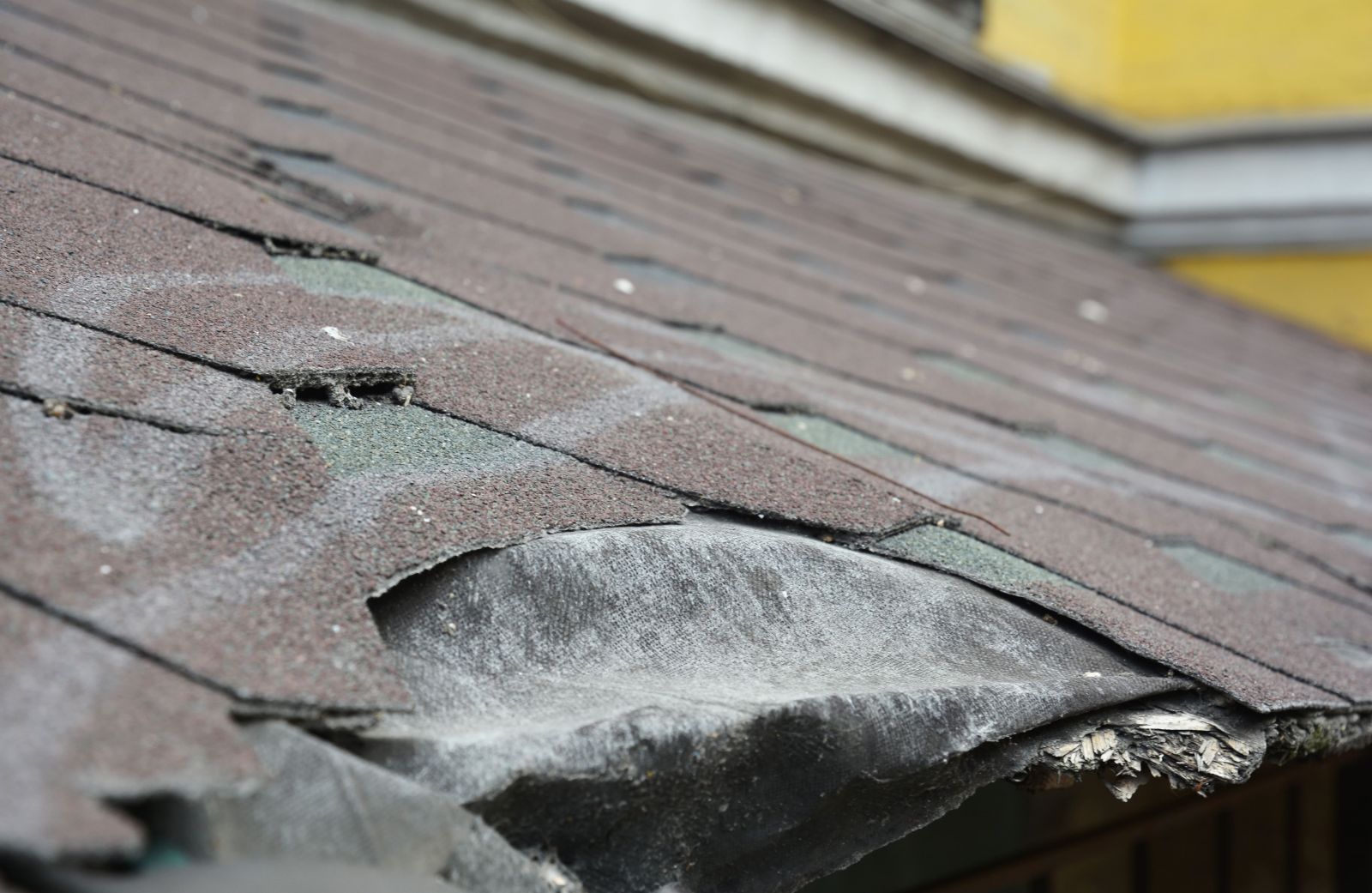 Revelation Roofing Images