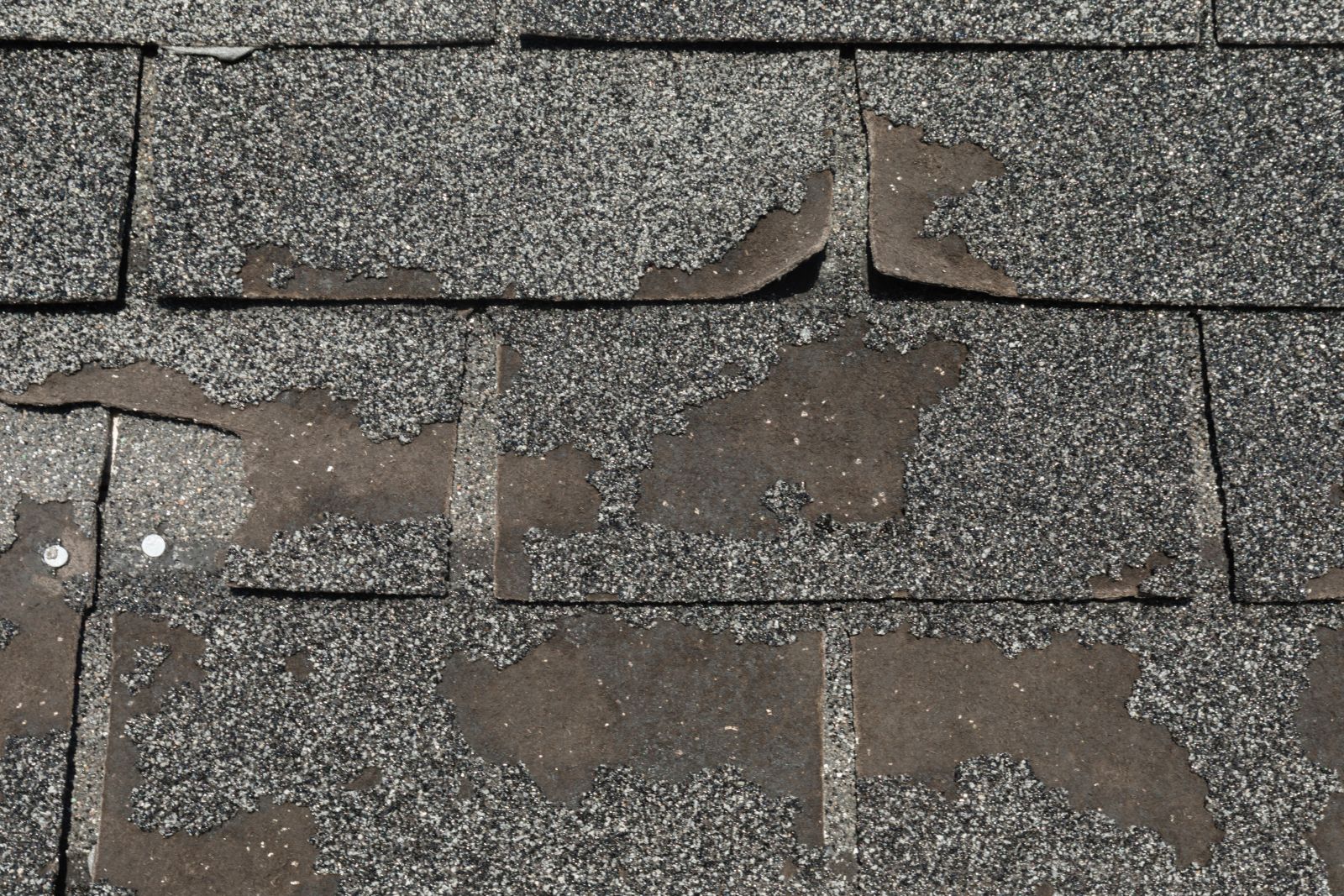 Revelation Roofing Images